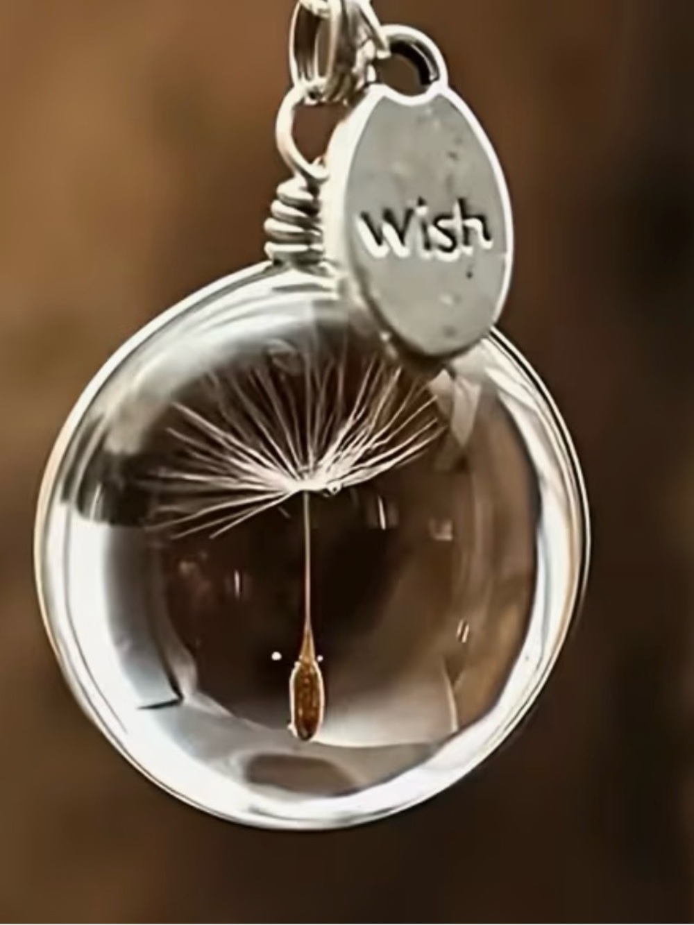 Clear Glass Dandelion Globe Necklace with 'Wish' Charm - Silver